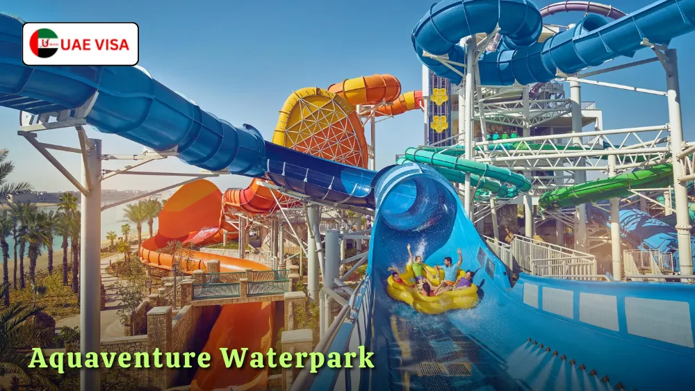 Aquaventure Waterpark